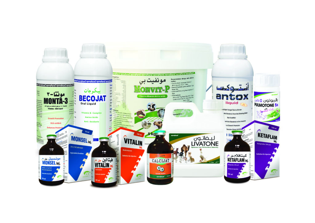 Supportives and Vitamins